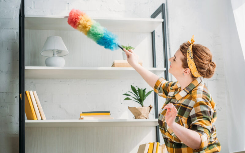Best Tools for Dusting