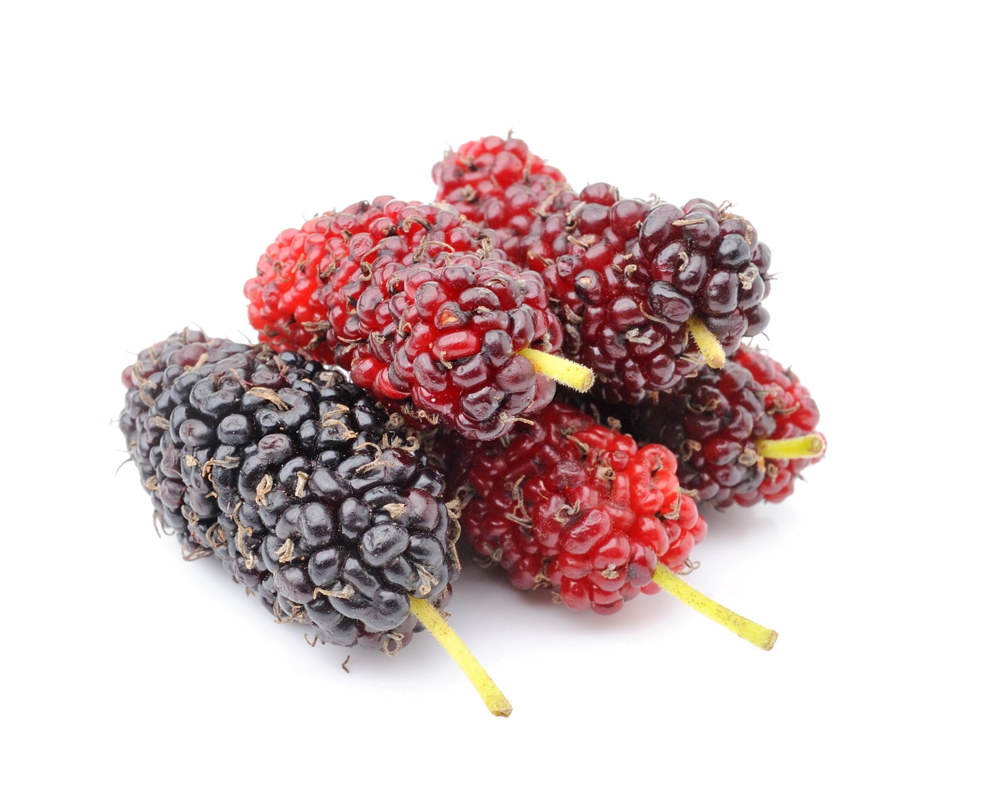 Mulberries