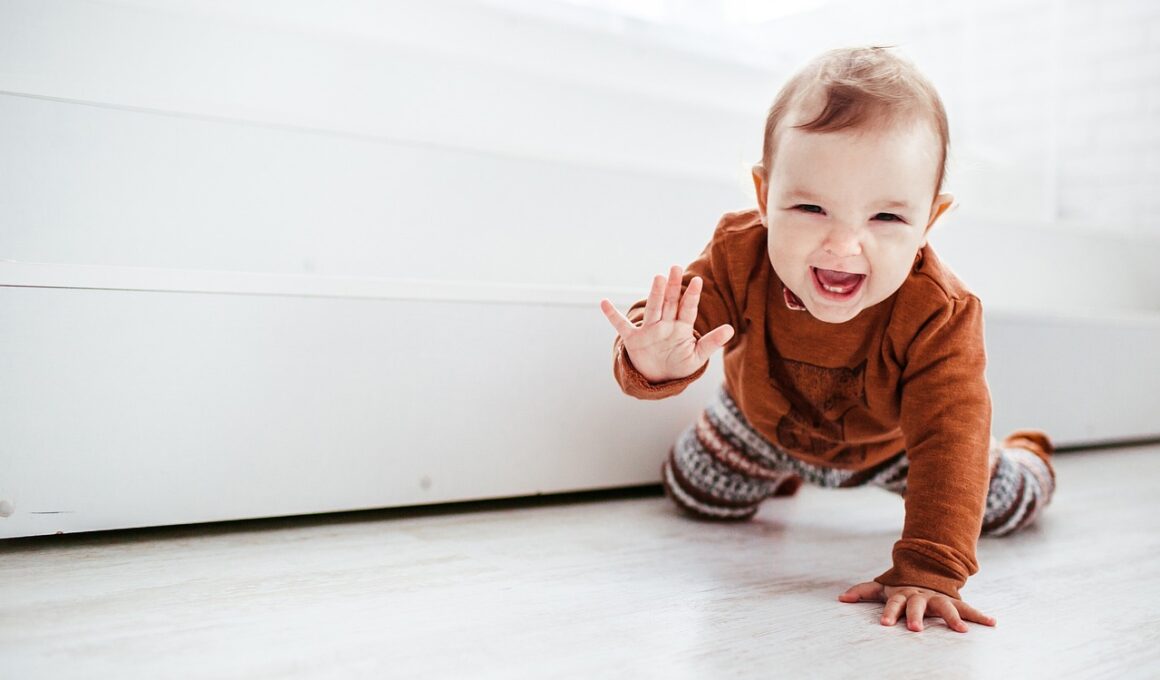 Dealing With Your Crawling Baby and Pet Dog