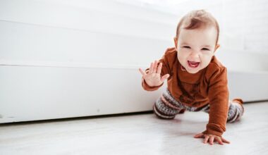 Dealing With Your Crawling Baby and Pet Dog