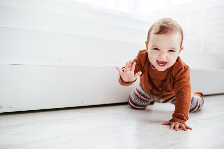Dealing With Your Crawling Baby and Pet Dog