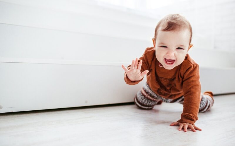 Dealing With Your Crawling Baby and Pet Dog