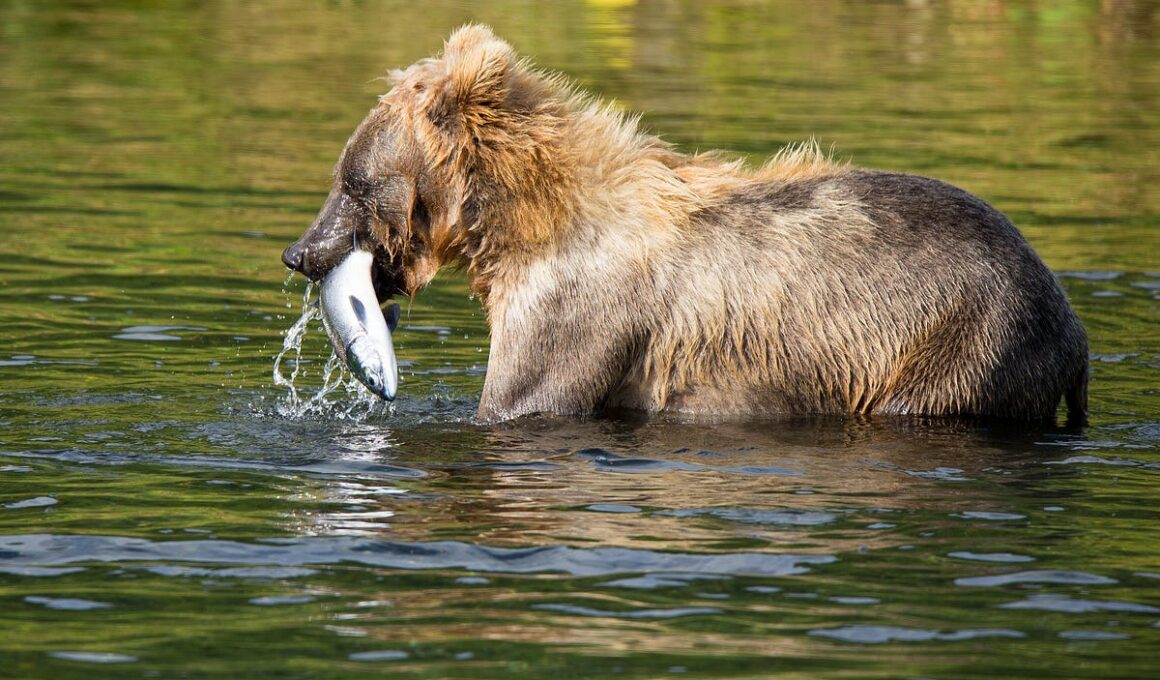 Animals That Eat Fish