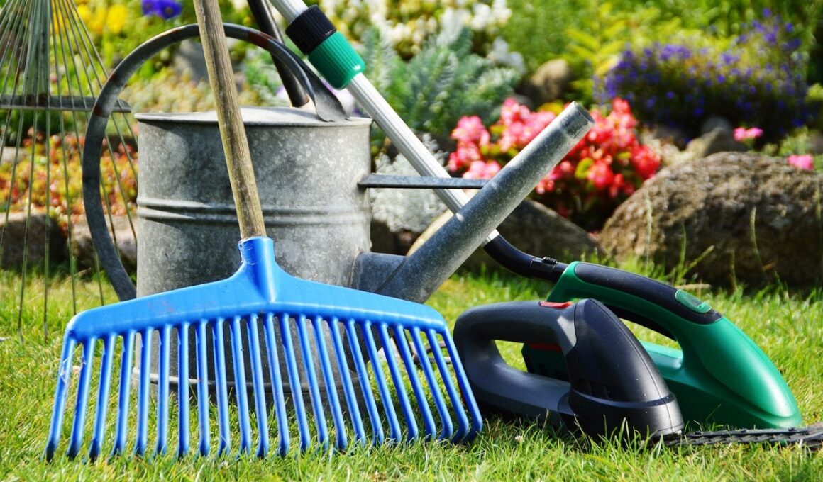 Gardening Tools for Beginners