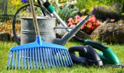 Gardening Tools for Beginners