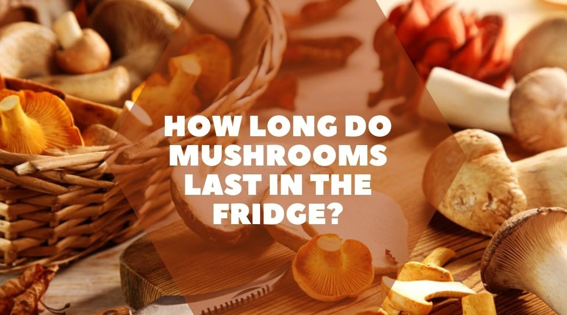 How Long Do Mushrooms Last in the Fridge?
