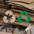 Is Cardboard Biodegradable