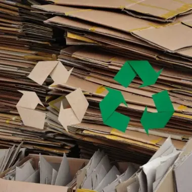 Is Cardboard Biodegradable