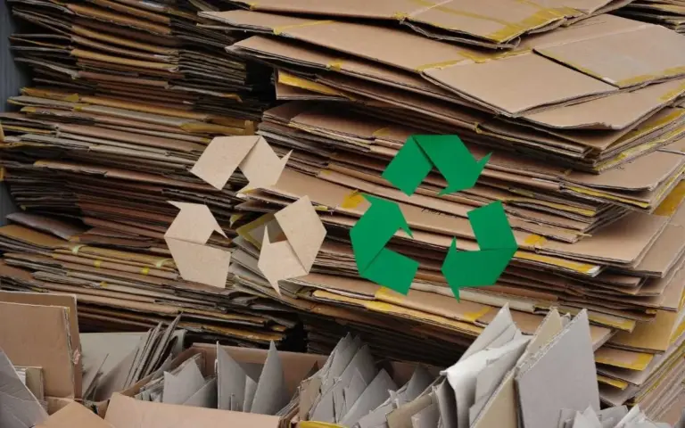 Is Cardboard Biodegradable