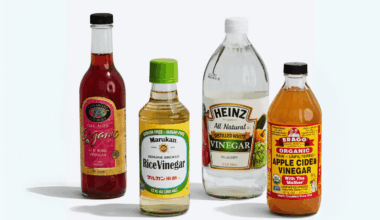 Best Substitutes for Apple Cider Vinegar