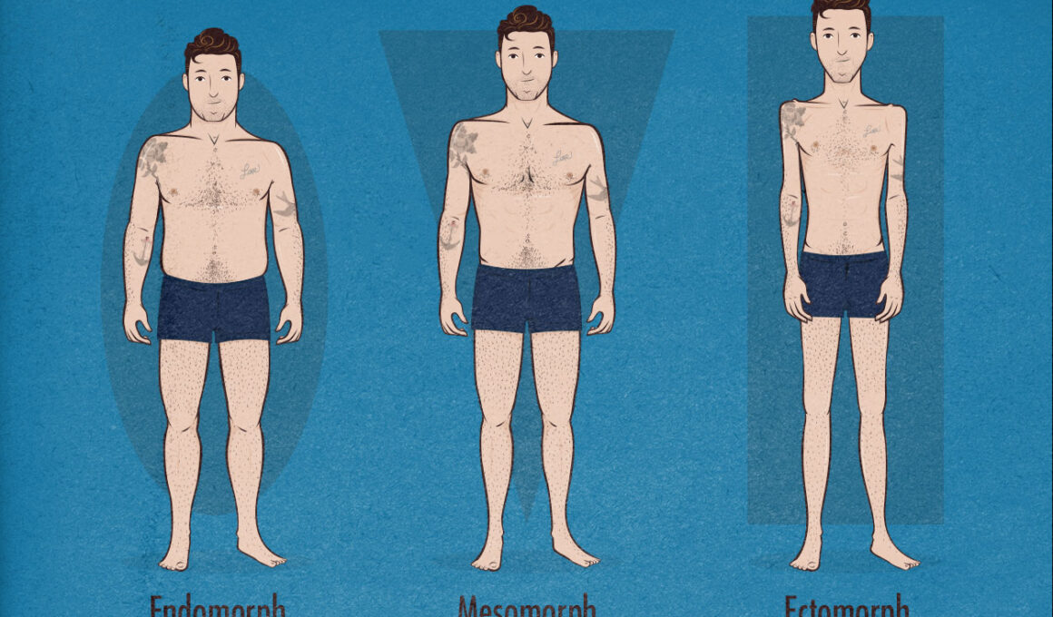 Different Body Shapes of Men