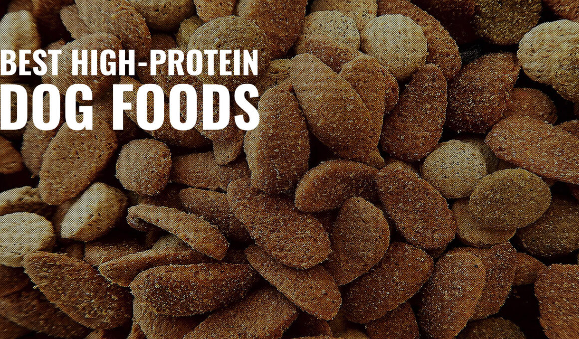 Best High Protein Dog Food