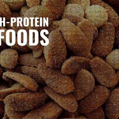 Best High Protein Dog Food