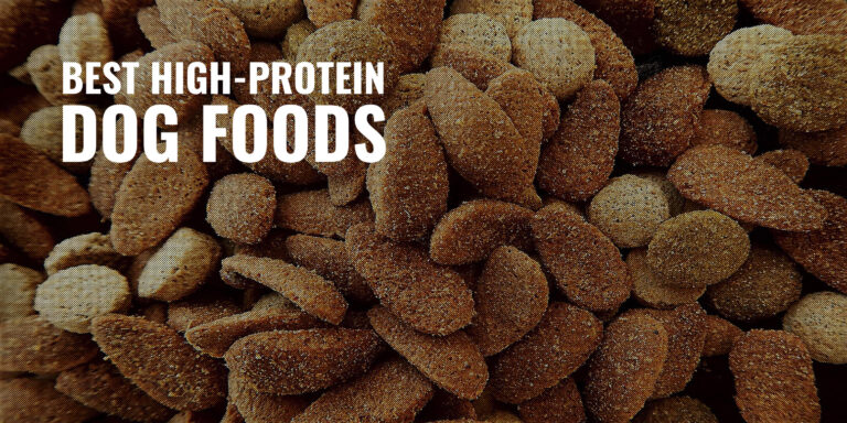 Best High Protein Dog Food