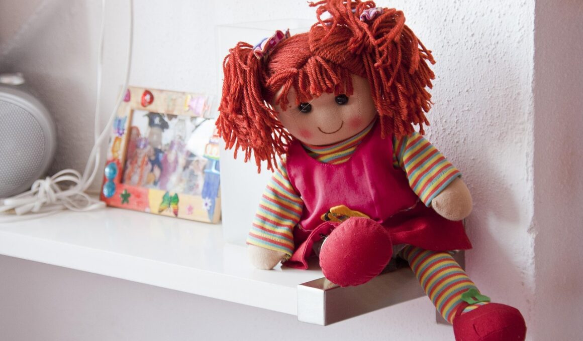 Difference Between Toy and Doll