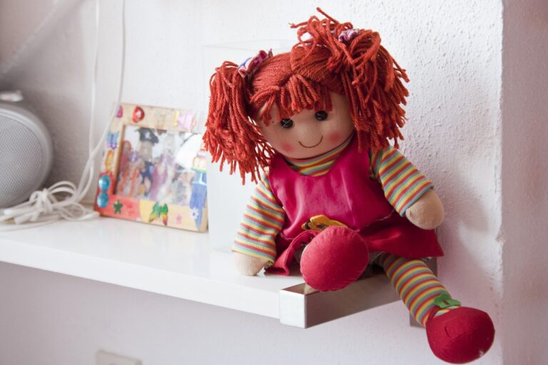 Difference Between Toy and Doll