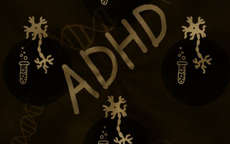 Facts About ADD and ADHD
