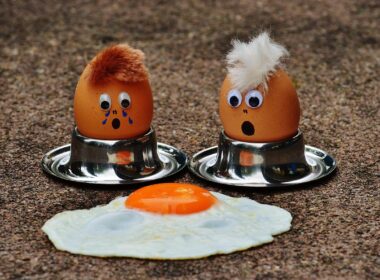 best egg substitutes for cooking