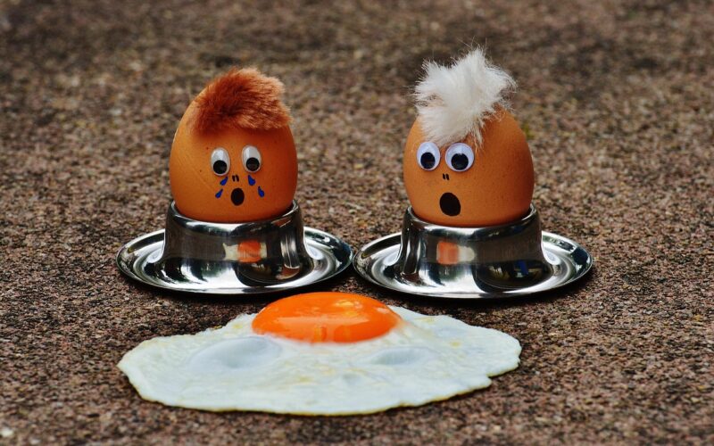 best egg substitutes for cooking