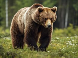 dangerous animals in tennessee