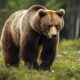 dangerous animals in tennessee
