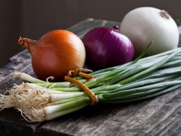 different types of onions