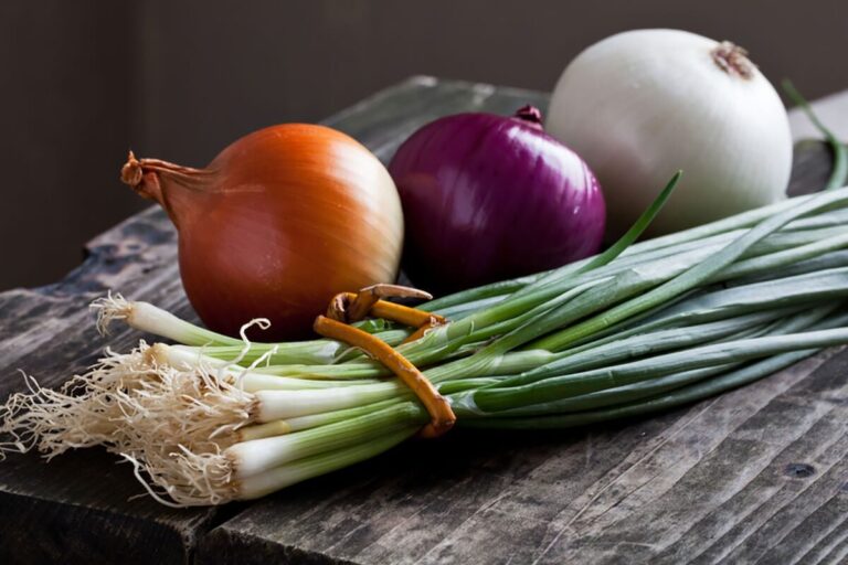 different types of onions