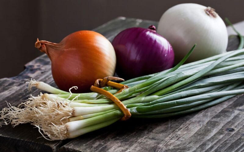 different types of onions