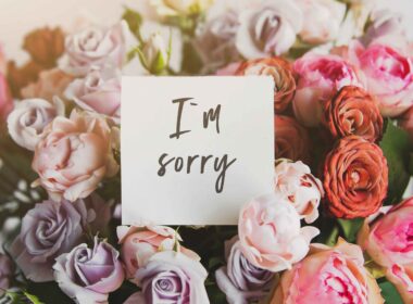 Best Apology Flowers