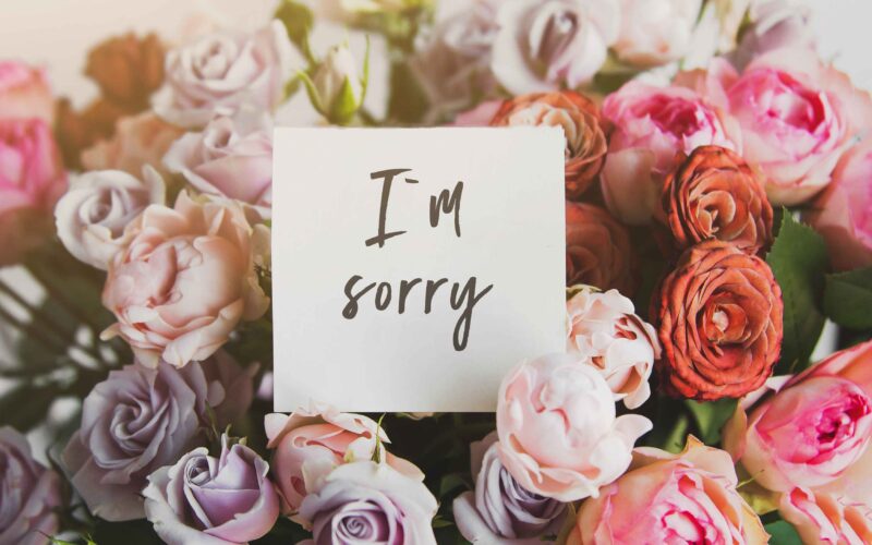 Best Apology Flowers
