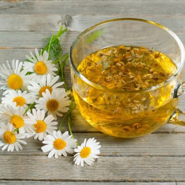 Can You Drink Chamomile Tea While Pregnant