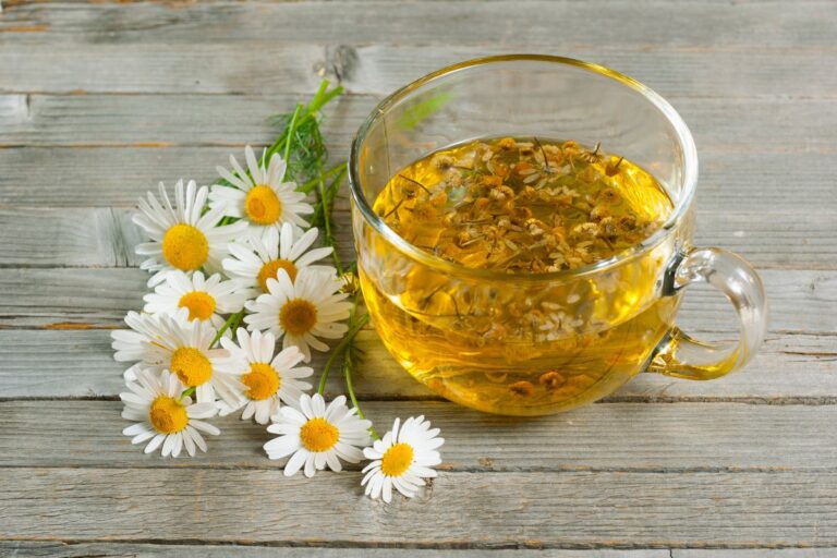 Can You Drink Chamomile Tea While Pregnant