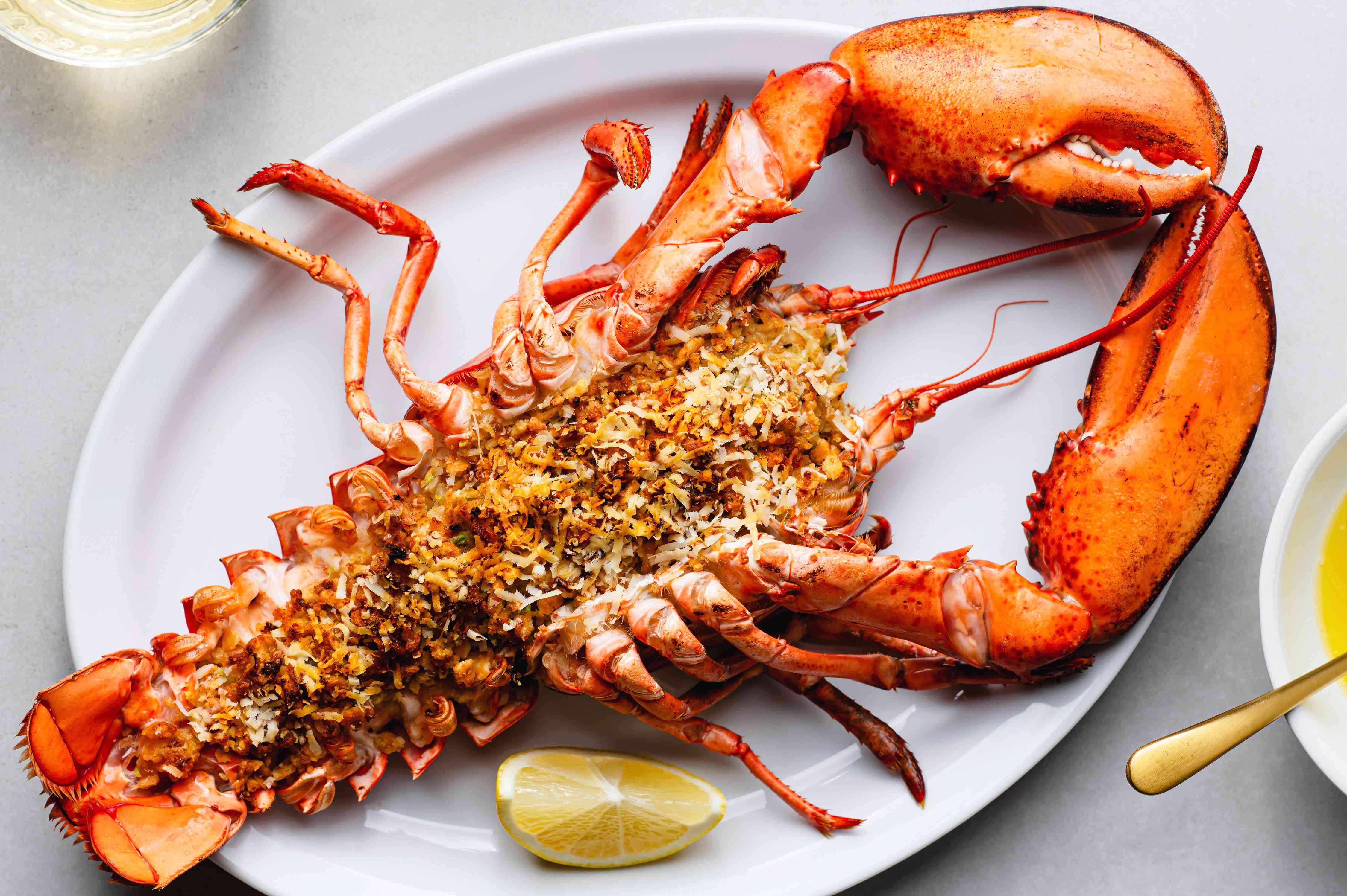 Can You Eat Lobster While Pregnant