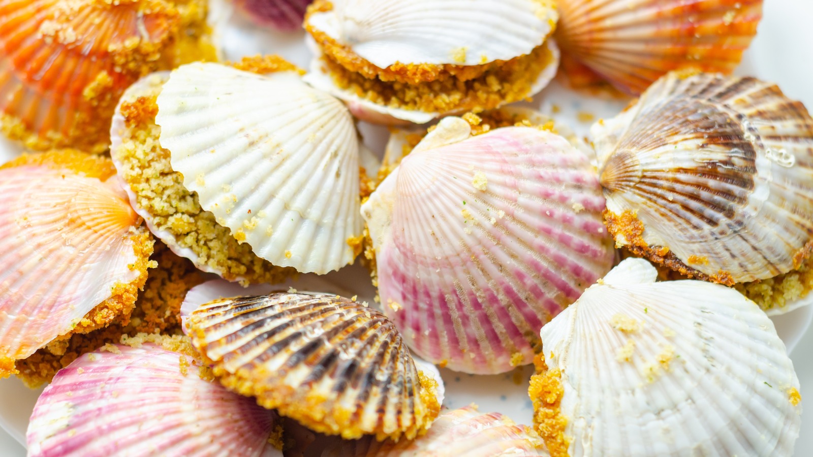 Can You Eat Scallops While Pregnant