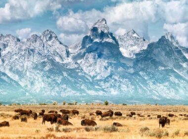 Tourist Attractions in Wyoming