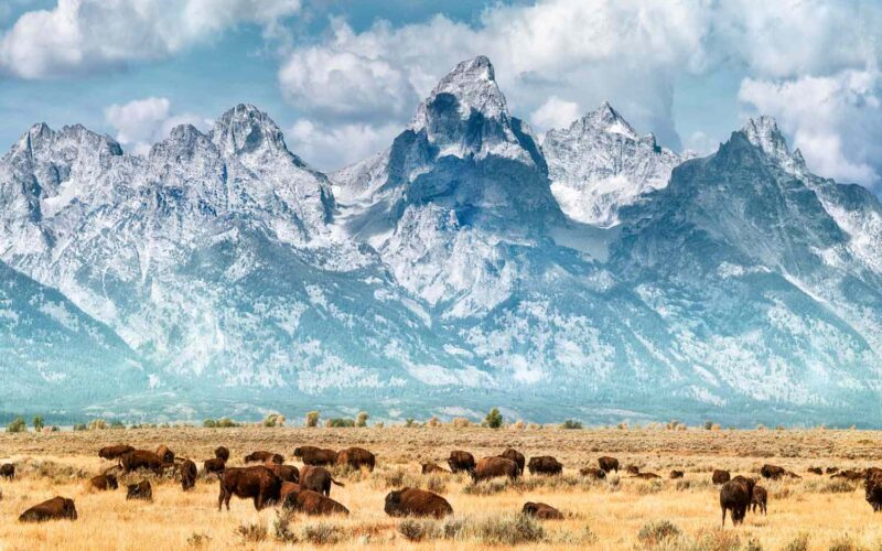 Tourist Attractions in Wyoming