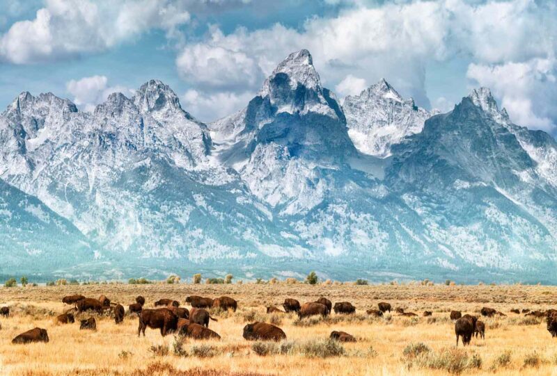Tourist Attractions in Wyoming