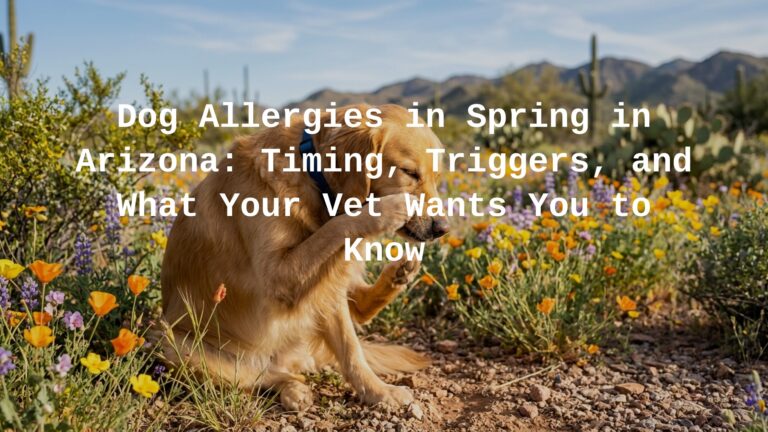 Dog allergies in spring in Arizona