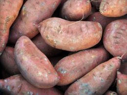 Facts About Sweet Potatoes
