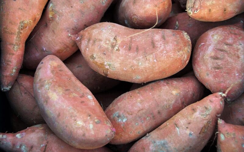 Facts About Sweet Potatoes