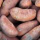 Facts About Sweet Potatoes