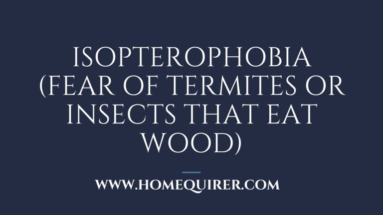 isopterophobia fear of termites or insects that eat wood