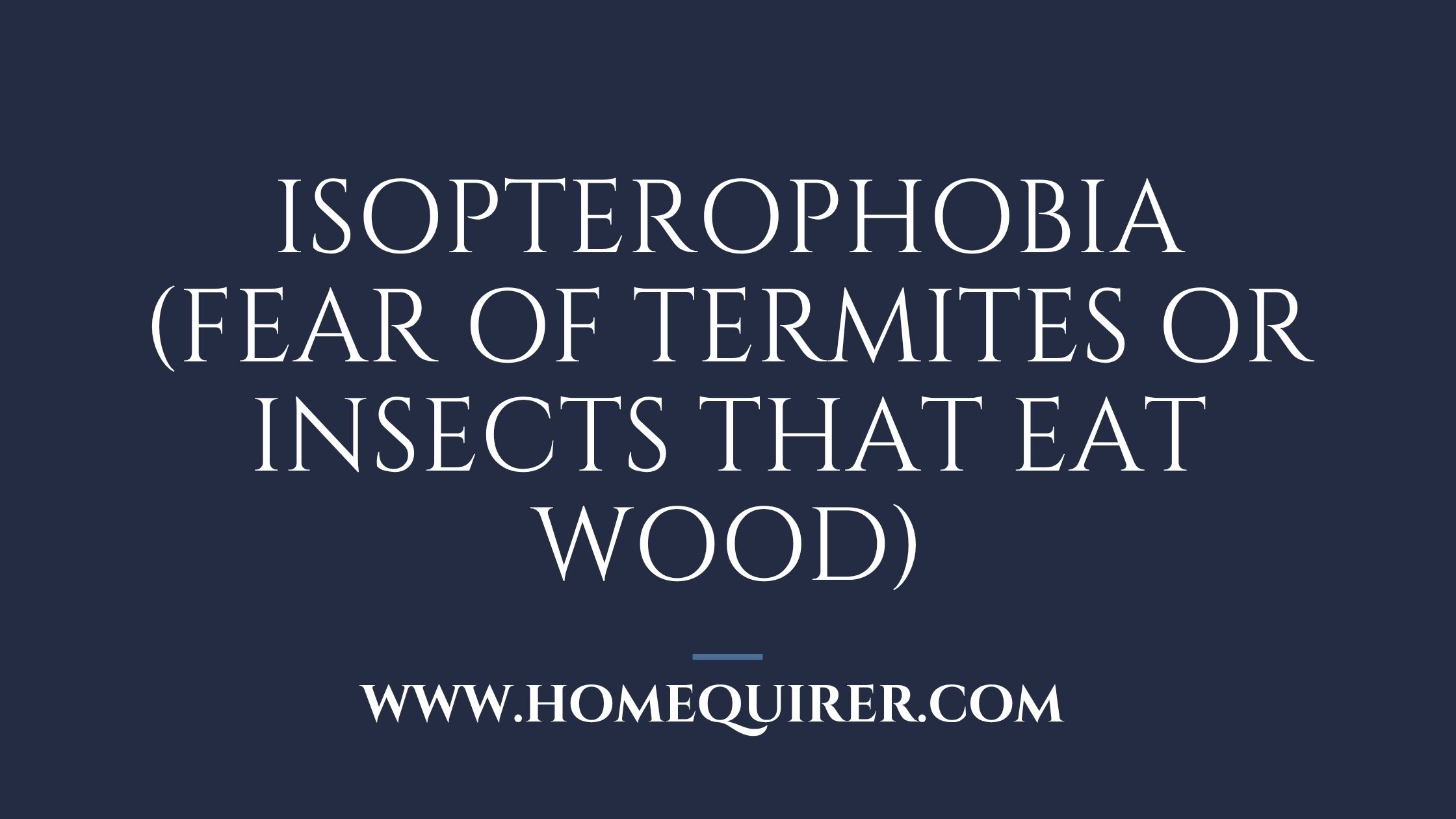 isopterophobia fear of termites or insects that eat wood