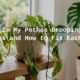 Why Is My Pothos Drooping?