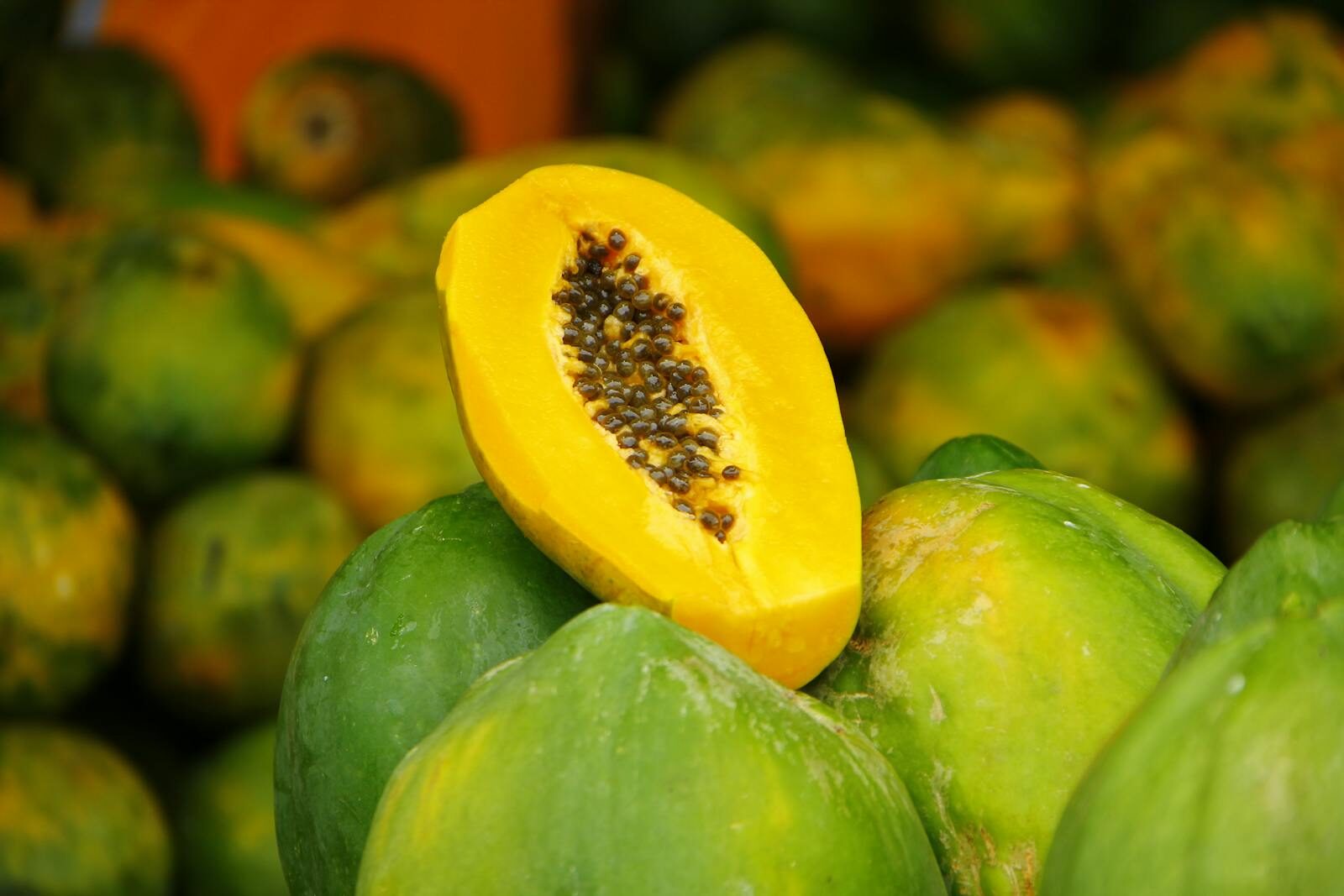 Can You Eat Papaya While Pregnant