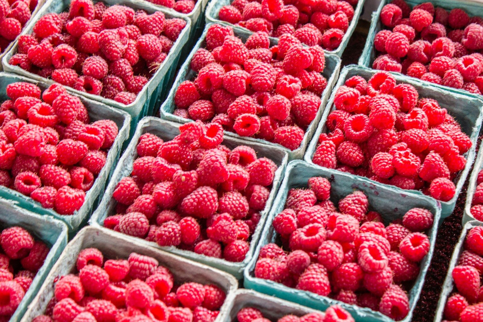 Can You Eat Raspberries While Pregnant