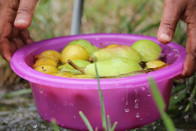 Can You Eat Unwashed Fruit While Pregnant