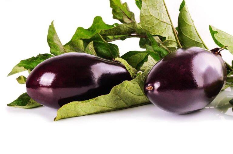 can you freeze eggplant