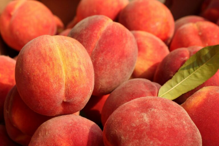 can you freeze peaches