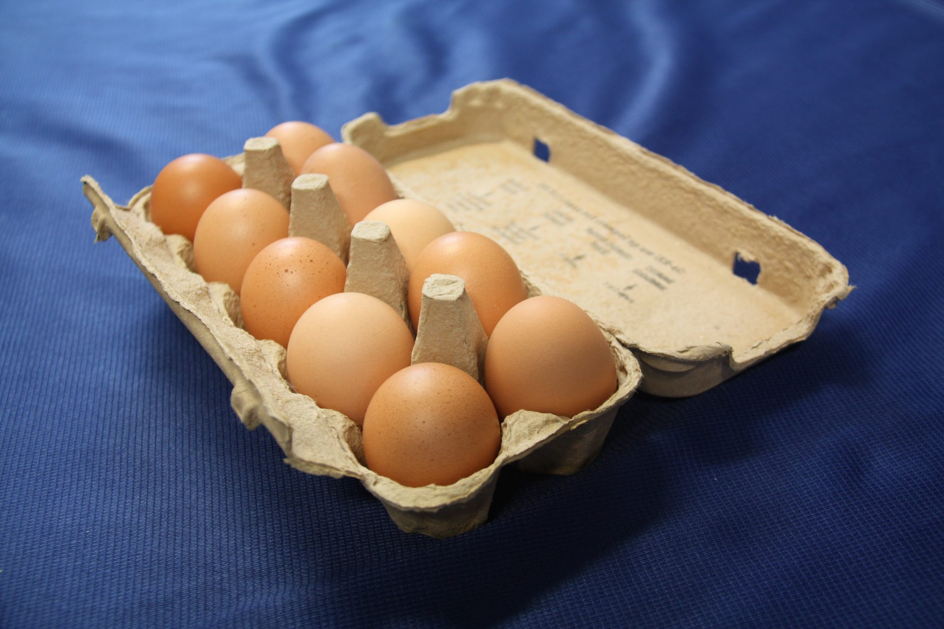 can you freeze raw eggs in the shell
